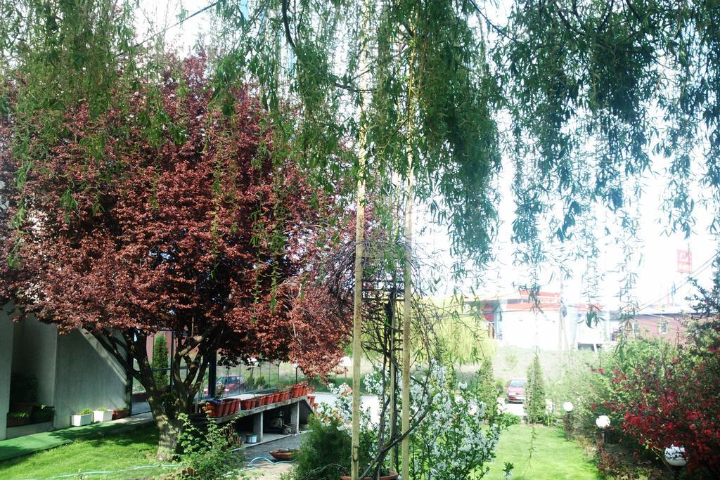 Hotel Aldi Cagllavice Esterno foto